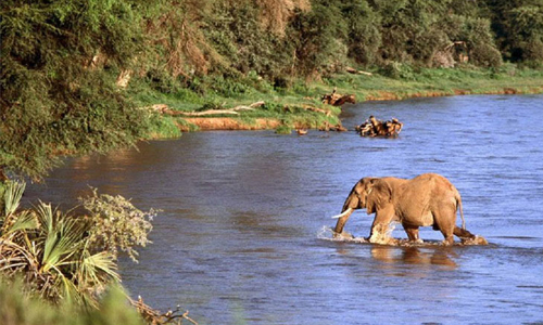 Parc national de la Comoé