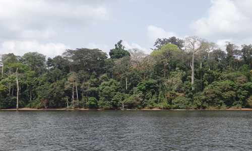 Réserve de faune de n’zo