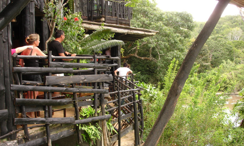 LA Réserve Nationale de Shimba Hills