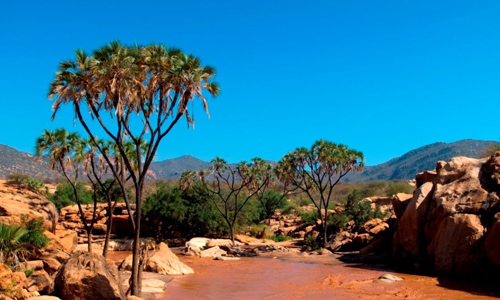 La Réserve National de Shaba